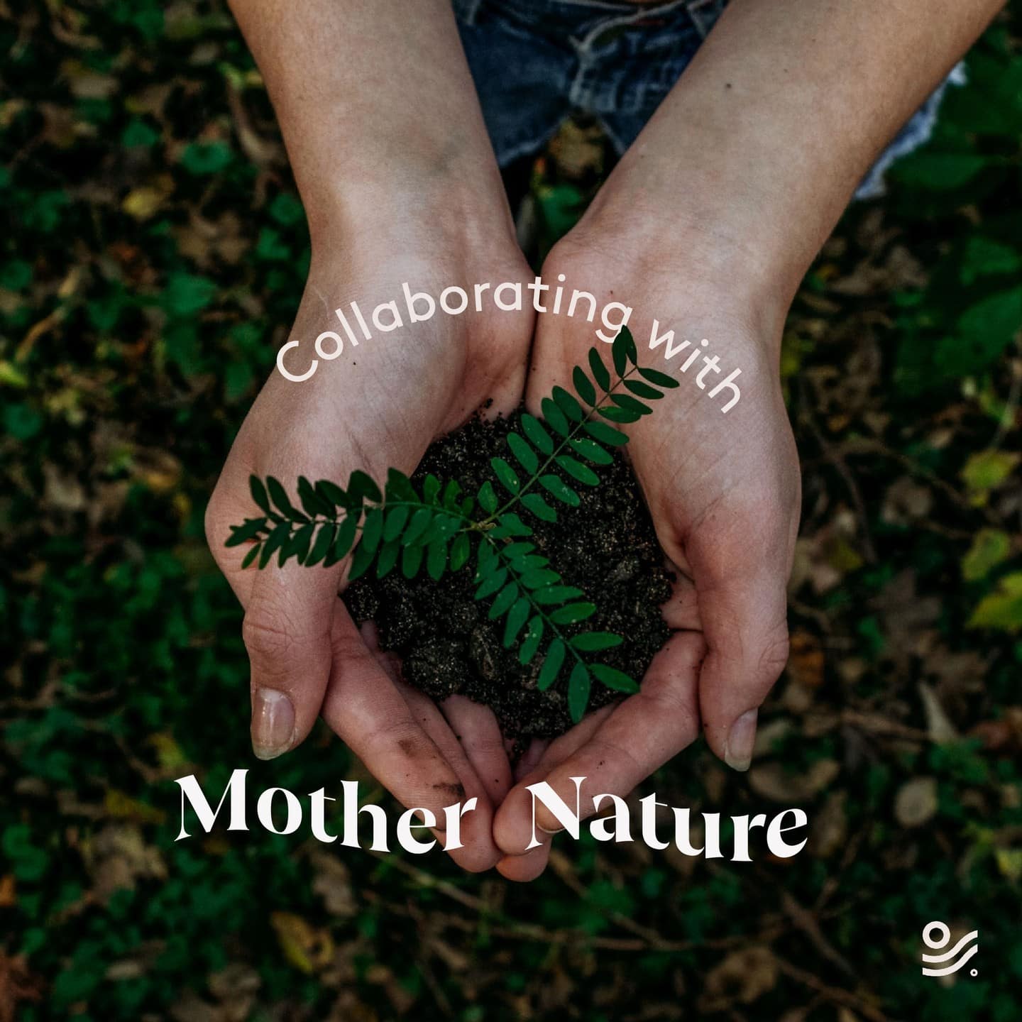 A pair of human palms holding a plant with the text "Collaborating with Mother Nature